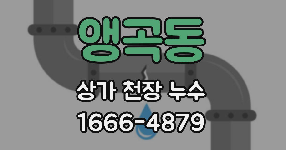 앵곡동 상가 천장 누수