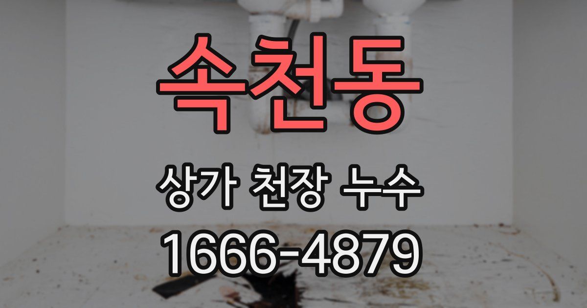 속천동 상가 천장 누수