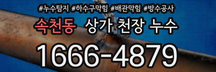 속천동 상가 천장 누수