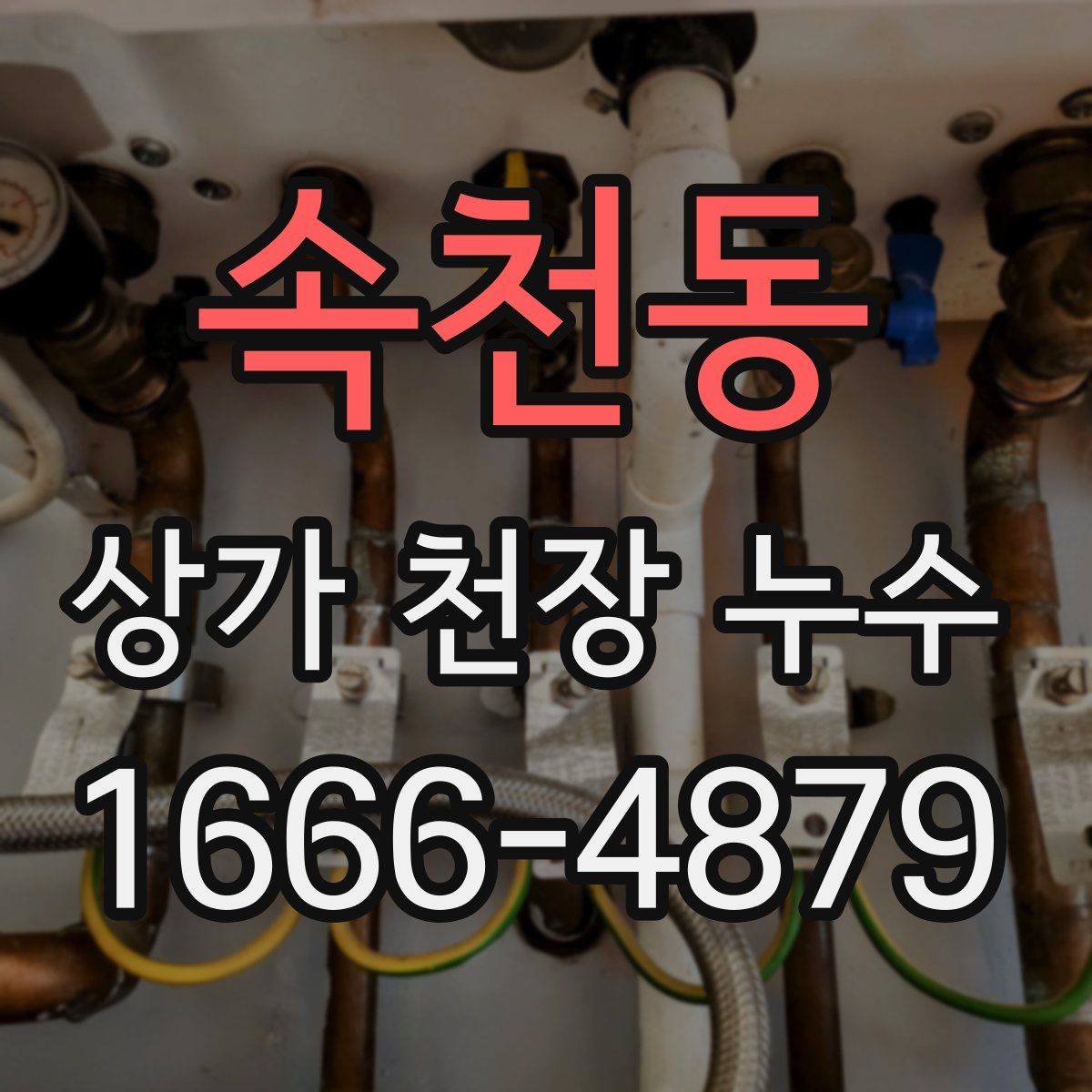 속천동 상가 천장 누수