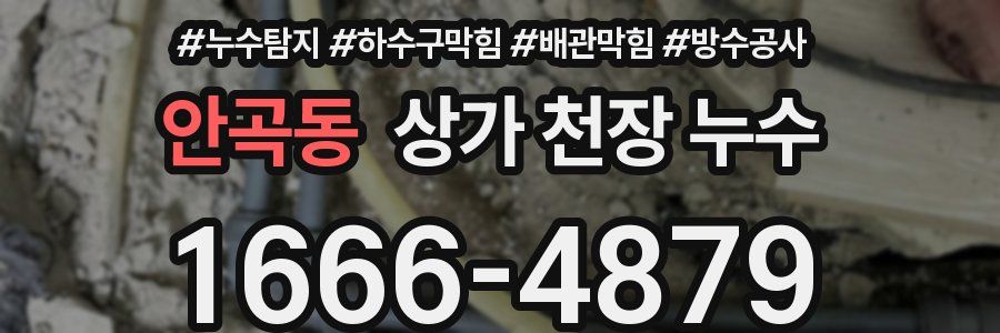 안곡동 상가 천장 누수