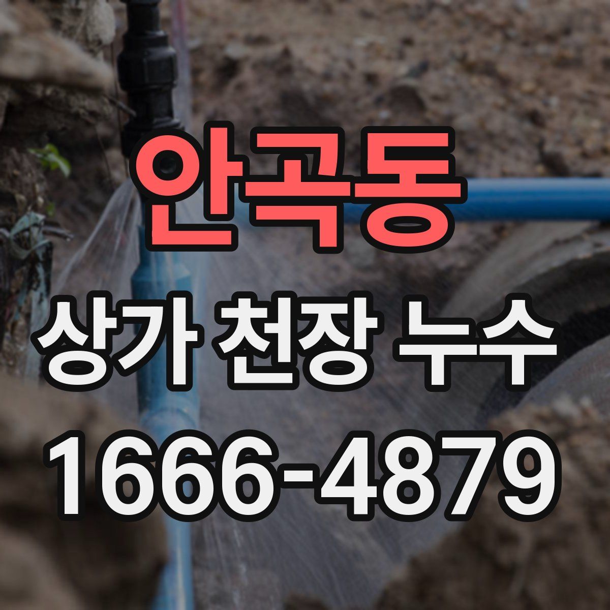 안곡동 상가 천장 누수