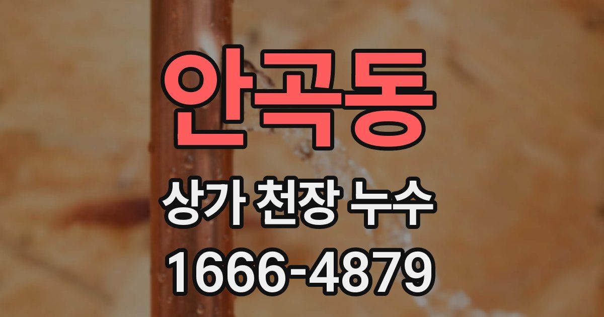 안곡동 상가 천장 누수