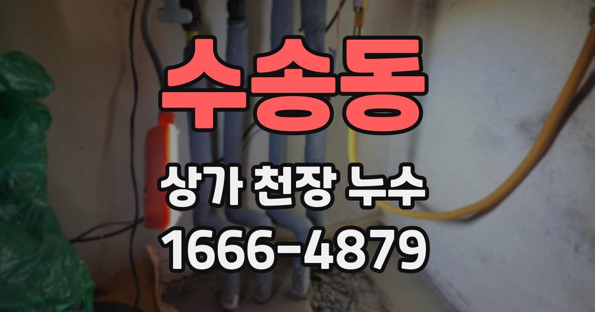 수송동 상가 천장 누수