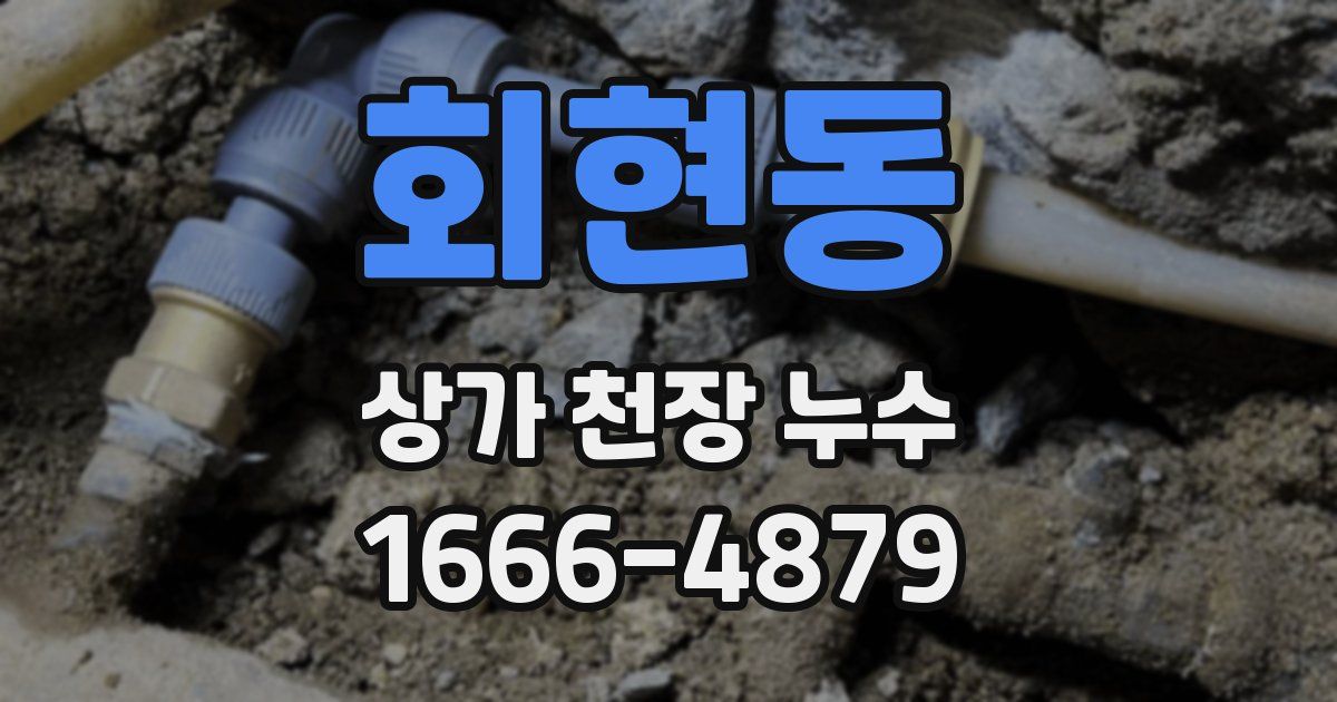 회현동 상가 천장 누수