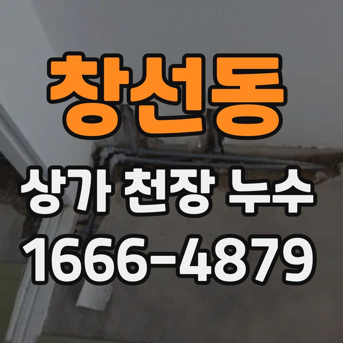 창선동 상가 천장 누수