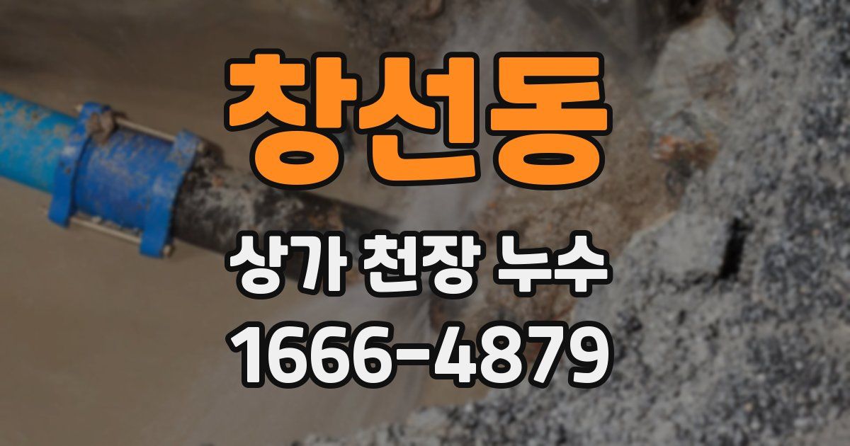 창선동 상가 천장 누수