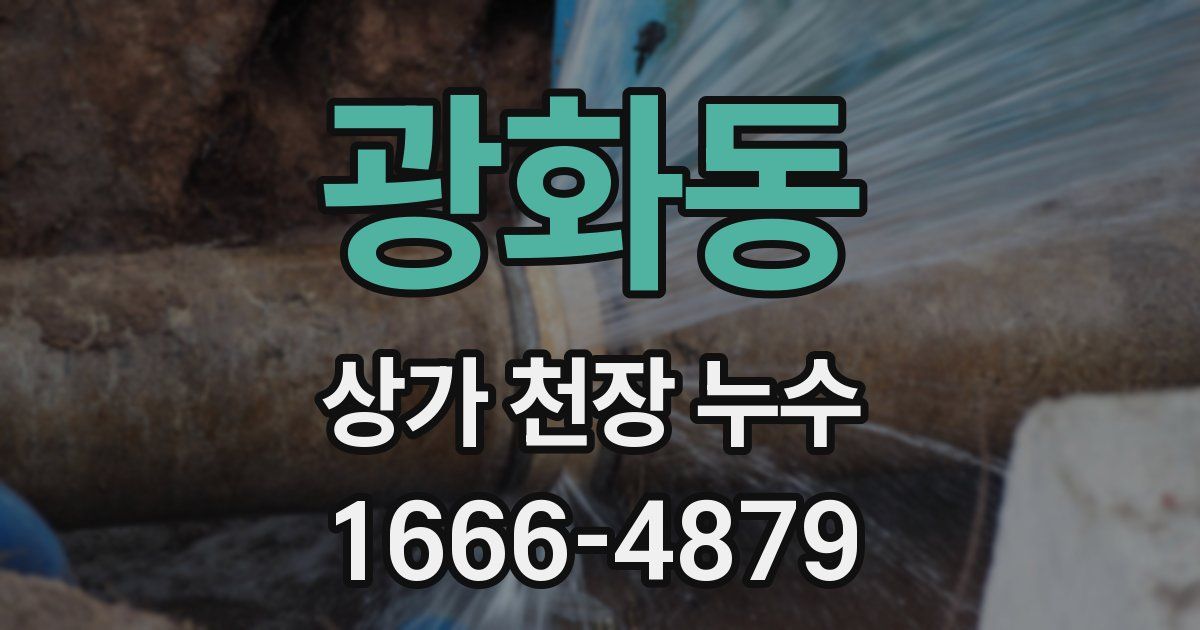 광화동 상가 천장 누수