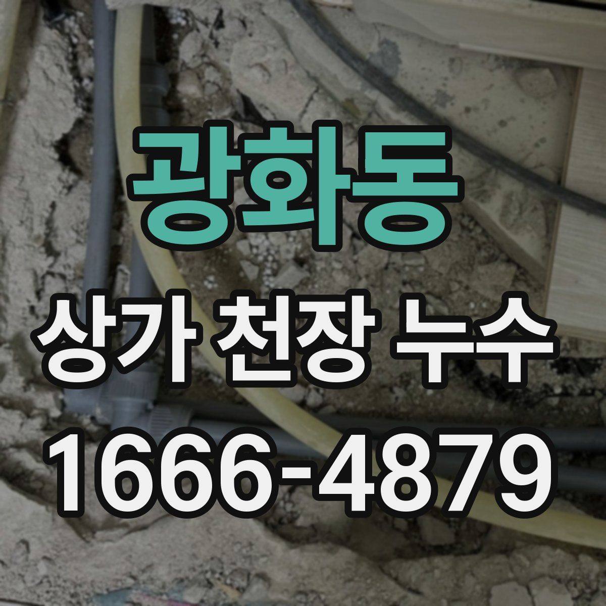 광화동 상가 천장 누수