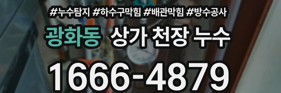광화동 상가 천장 누수