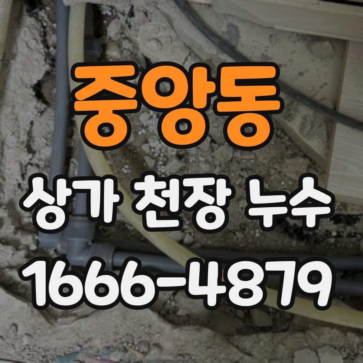 중앙동 상가 천장 누수