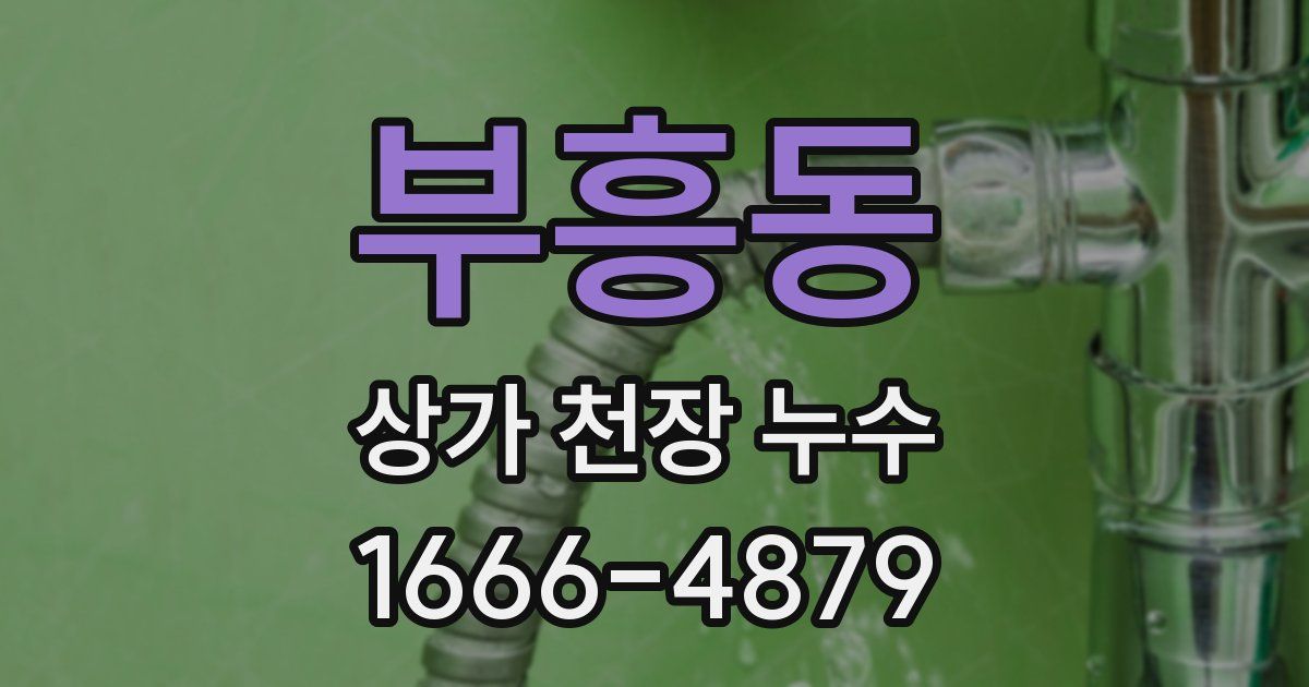 부흥동 상가 천장 누수