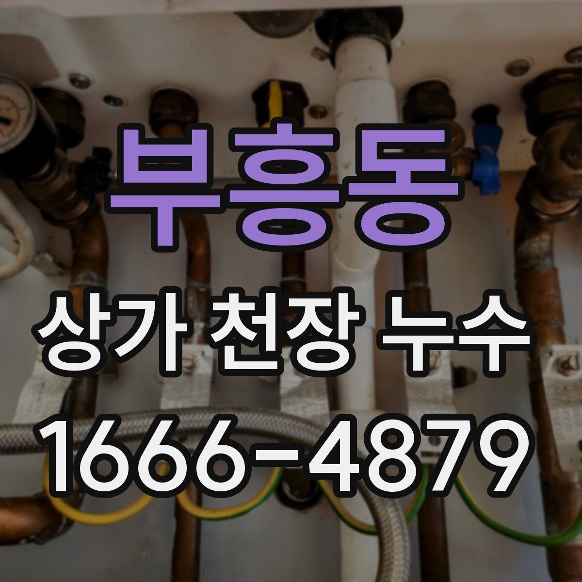 부흥동 상가 천장 누수