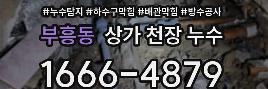 부흥동 상가 천장 누수