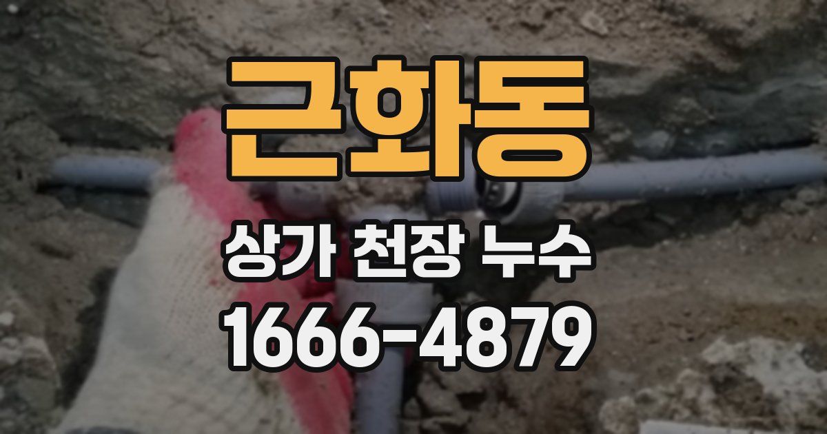 근화동 상가 천장 누수