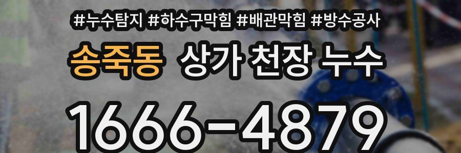 송죽동 상가 천장 누수