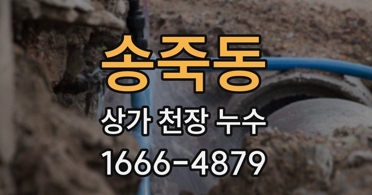 송죽동 상가 천장 누수
