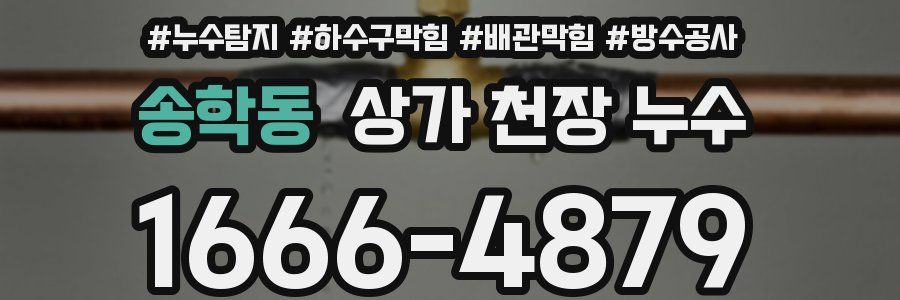 송학동 상가 천장 누수
