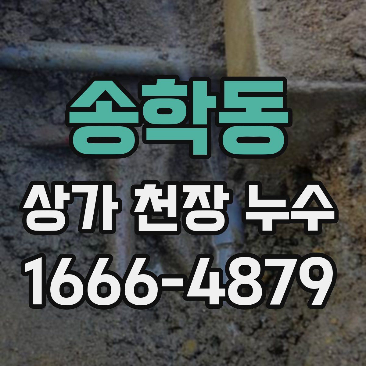 송학동 상가 천장 누수