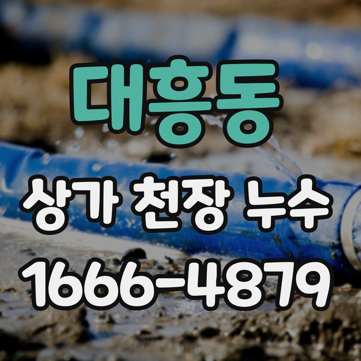 대흥동 상가 천장 누수