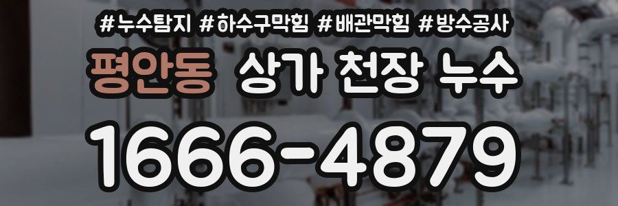 평안동 상가 천장 누수