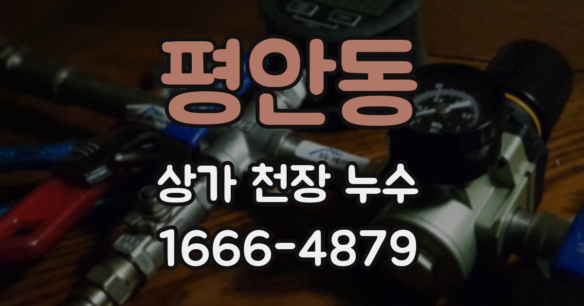 평안동 상가 천장 누수