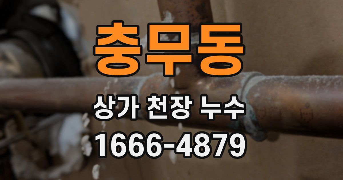 충무동 상가 천장 누수