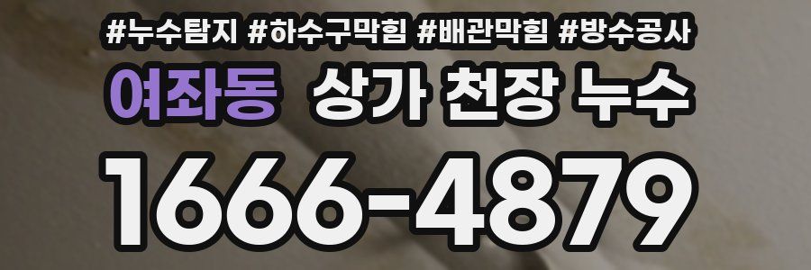 여좌동 상가 천장 누수