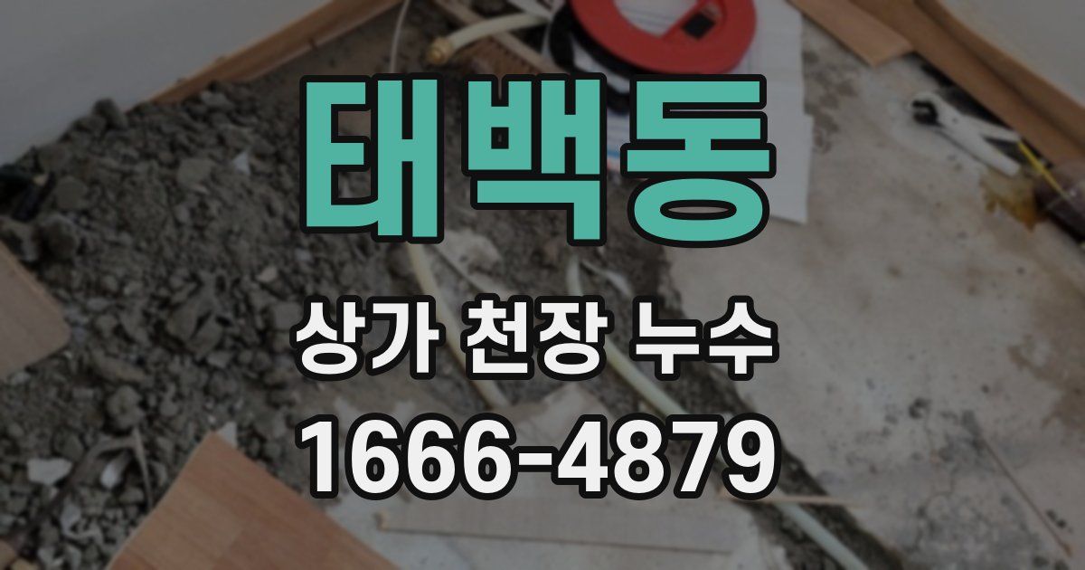 태백동 상가 천장 누수