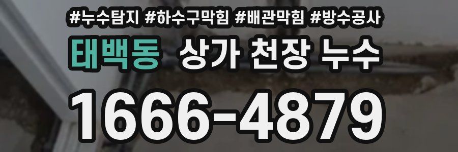 태백동 상가 천장 누수
