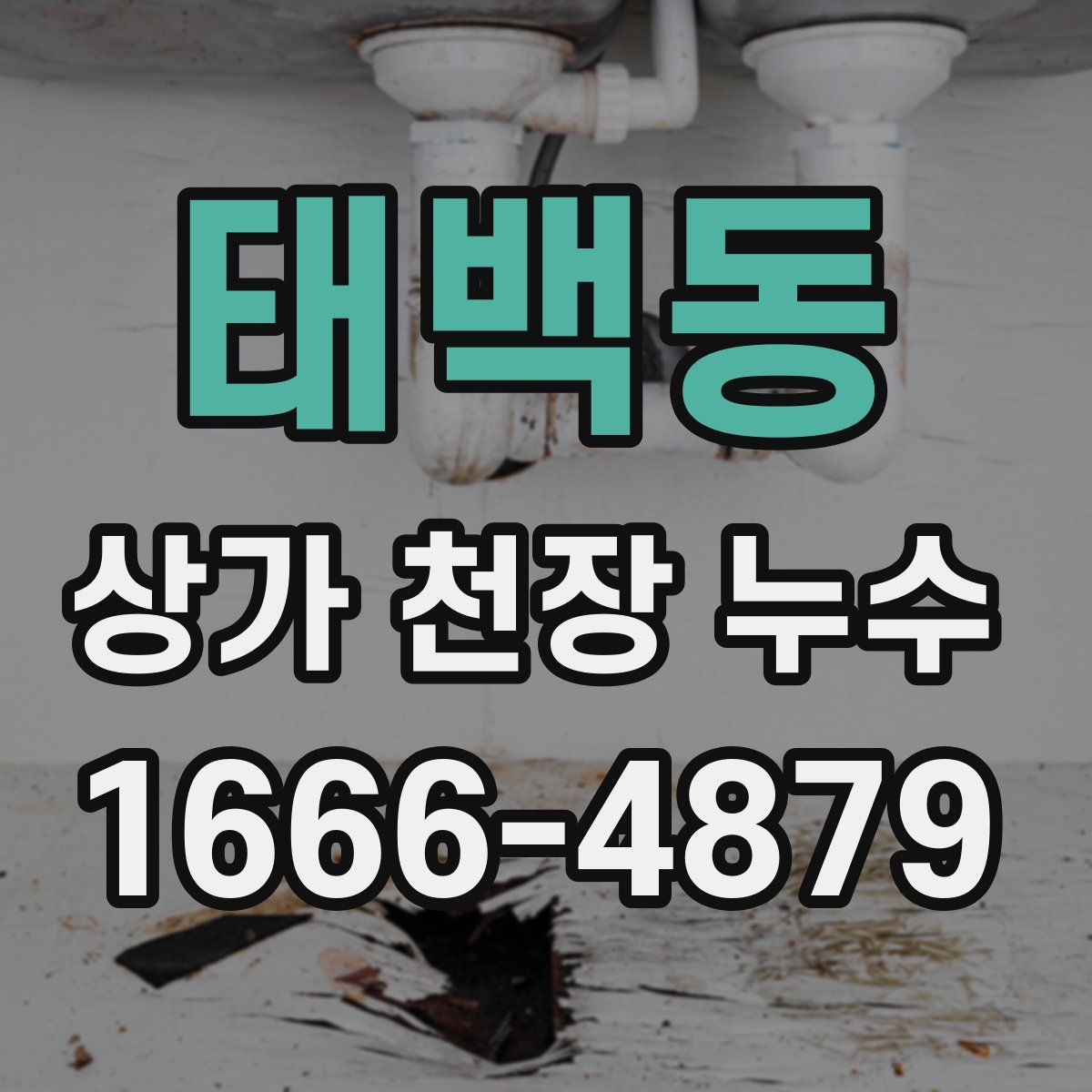 태백동 상가 천장 누수