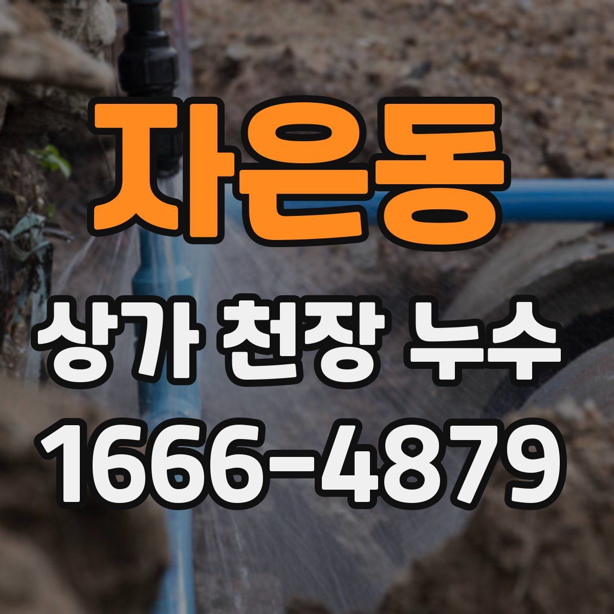 자은동 상가 천장 누수