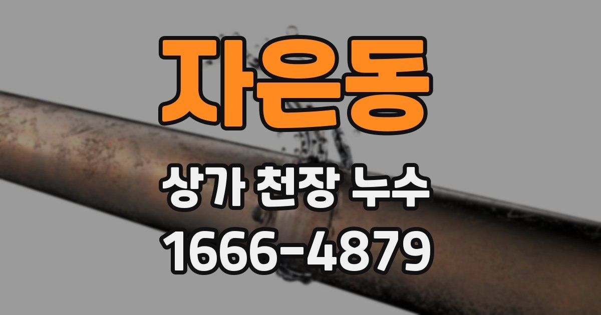 자은동 상가 천장 누수