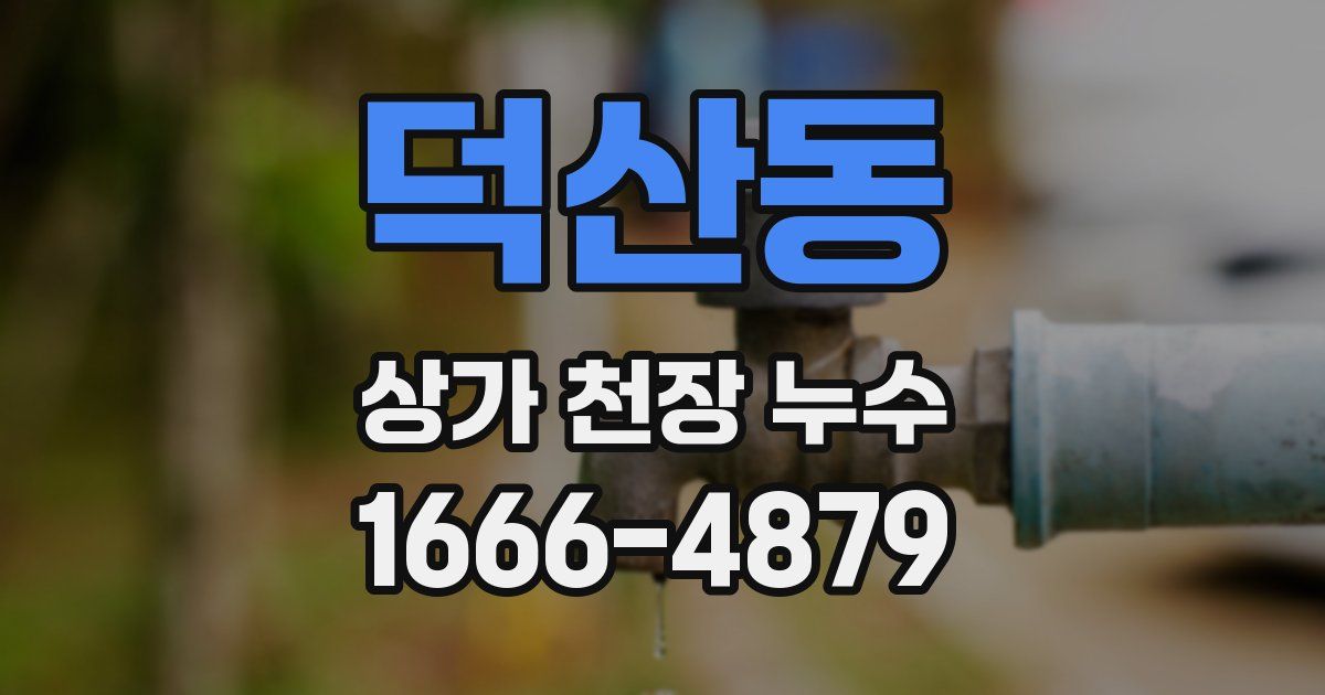 덕산동 상가 천장 누수