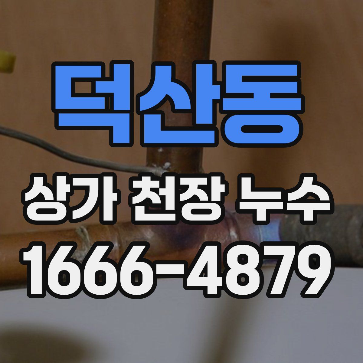 덕산동 상가 천장 누수