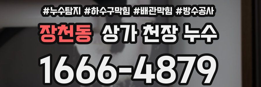 장천동 상가 천장 누수