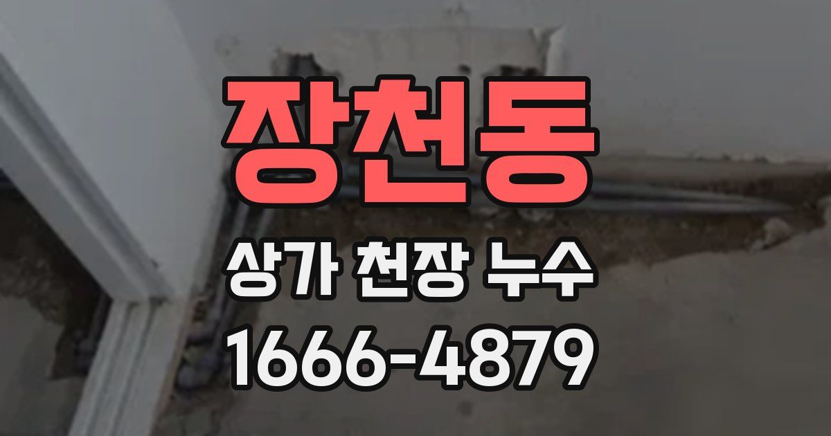 장천동 상가 천장 누수
