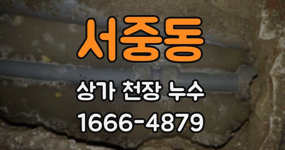 서중동 상가 천장 누수