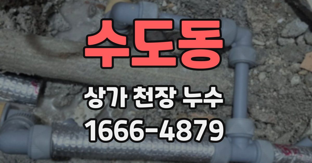 수도동 상가 천장 누수