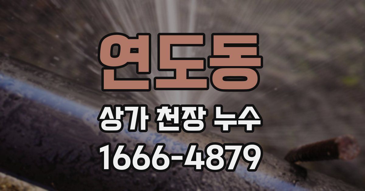 연도동 상가 천장 누수