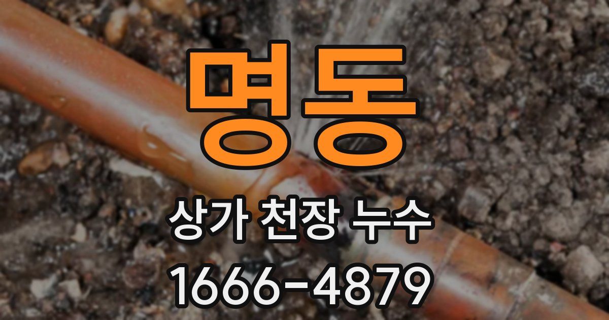 명동 상가 천장 누수