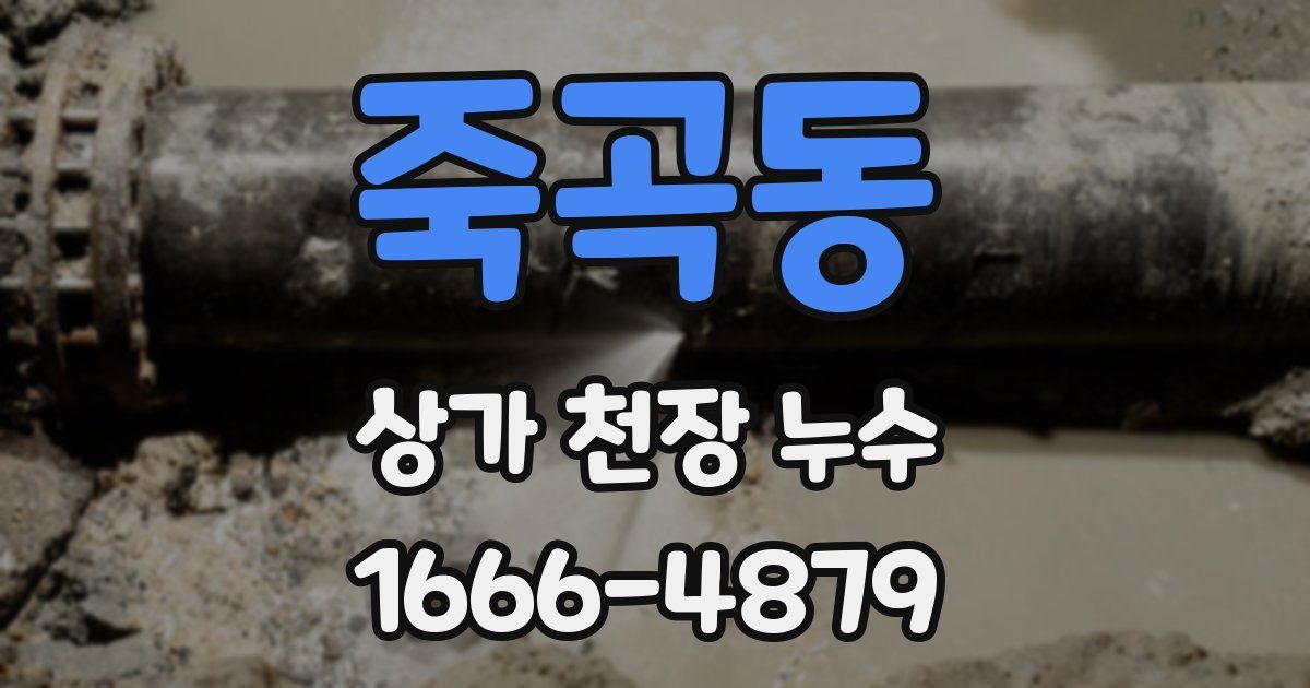 죽곡동 상가 천장 누수