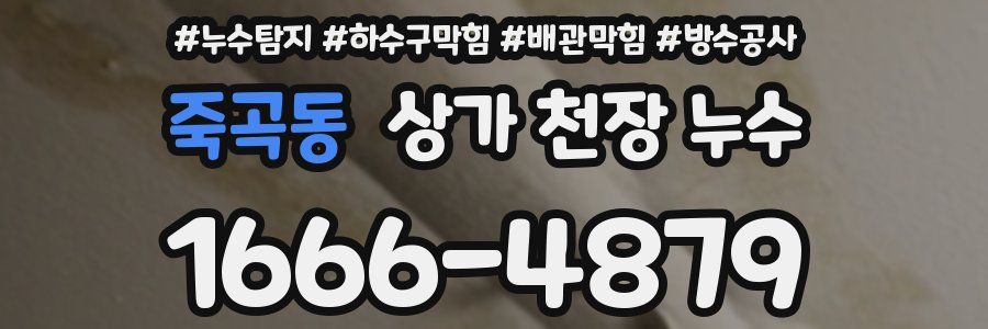 죽곡동 상가 천장 누수