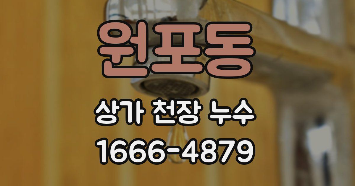 원포동 상가 천장 누수