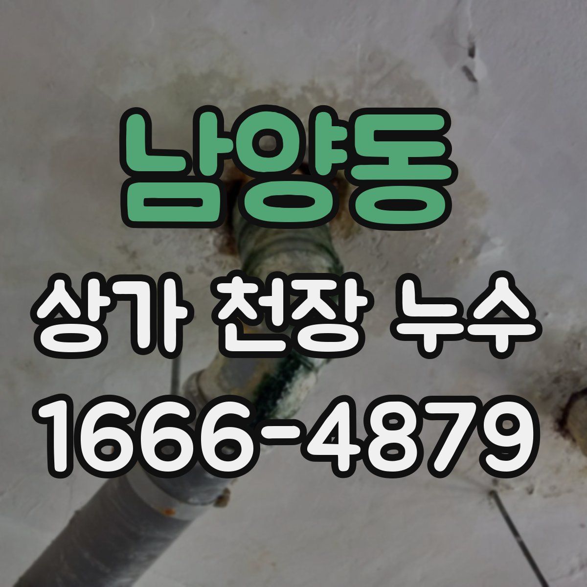 남양동 상가 천장 누수