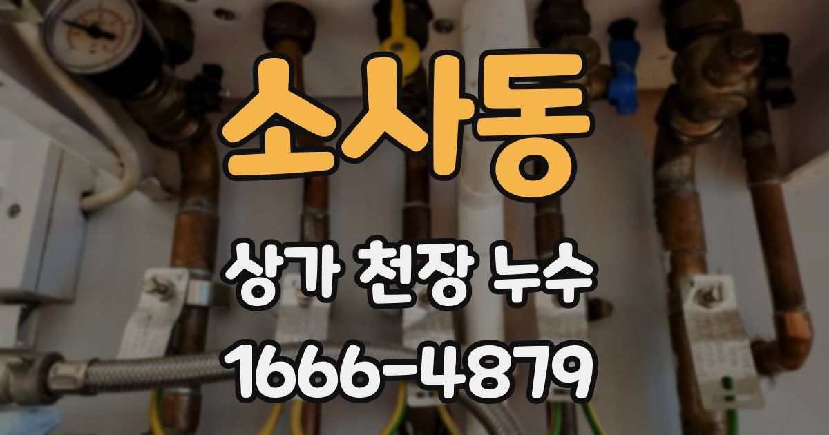 소사동 상가 천장 누수