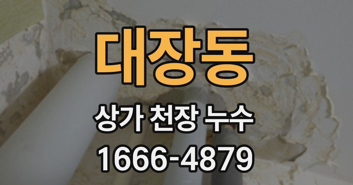 대장동 상가 천장 누수
