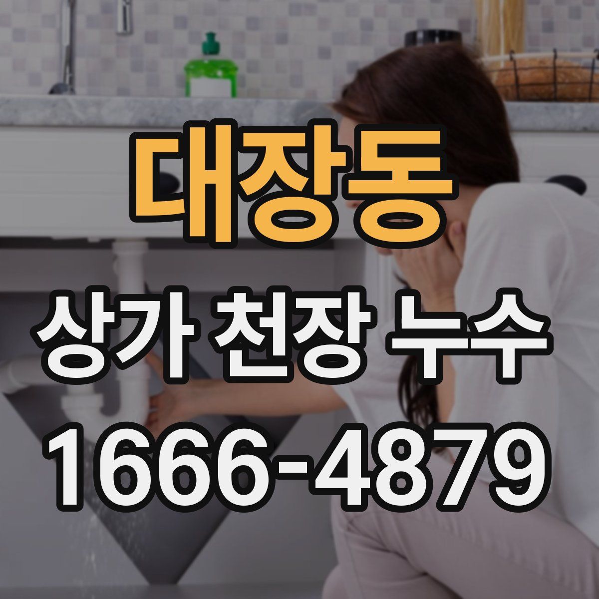 대장동 상가 천장 누수