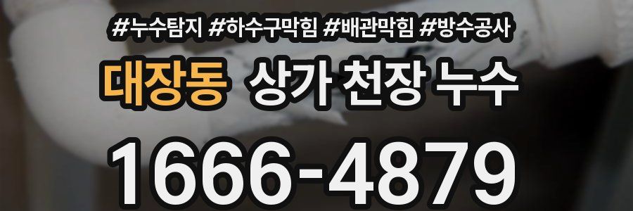 대장동 상가 천장 누수