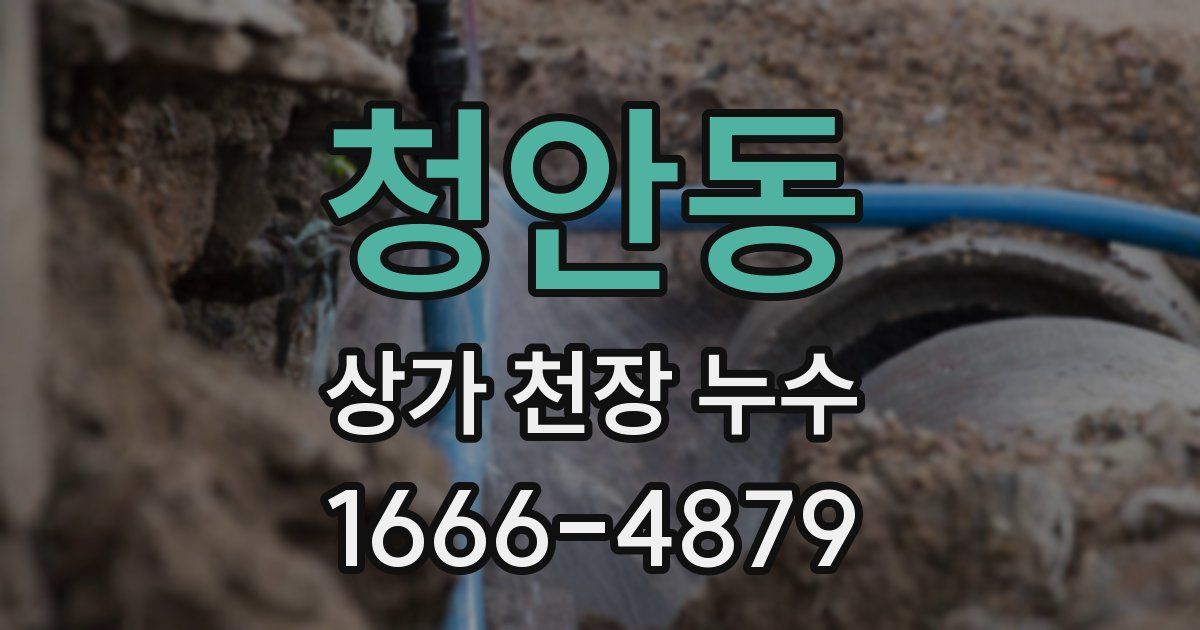 청안동 상가 천장 누수